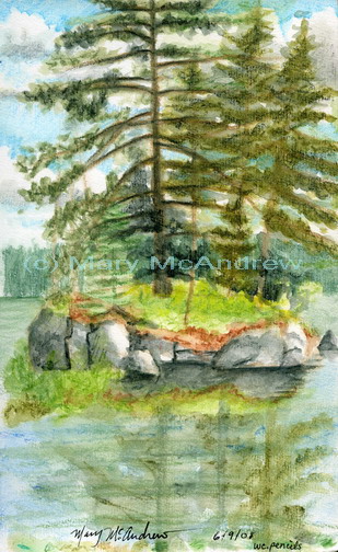 "Adirondack Trees"