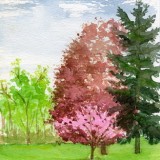 "Spring in Clarence Center"
