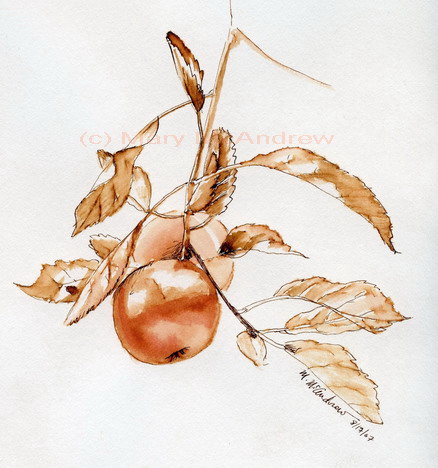 "Apple in Ink Wash"
