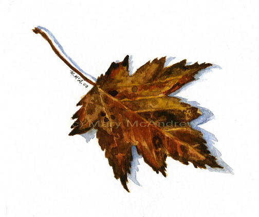 "Brown Leaf"