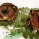 "Brown Mushrooms"