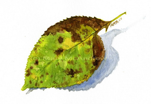 "Green Leaf"