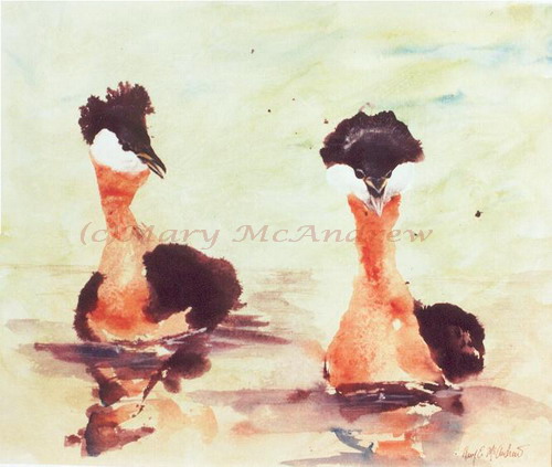 "Red Necked Grebes"