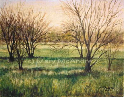 "Spring Meadow"