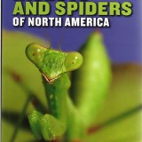 NWF Field Guide to Insects and Spiders N.America