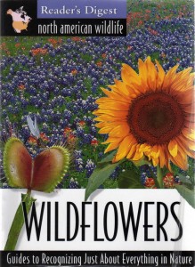 RD Wildflowers