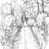 c 11aspenhall resz 160x160 365 Trees