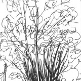 c 14foxlane resz 160x160 365 Trees