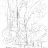 c 17bythepond resz 160x160 365 Trees