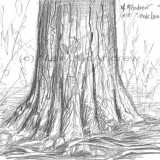 c 18oaklane resz 160x160 365 Trees