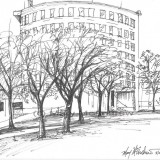 c 1trees fredonia resz 160x160 365 Trees