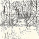c 25chickadee trail resz 160x160 365 Trees
