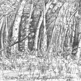 c 4trees asp hall resz 160x160 365 Trees