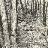 c treesBowm 160x160 365 Trees