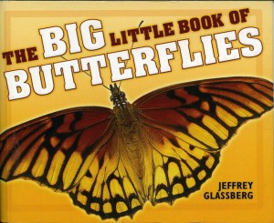 Big Little Book of Butterflies
