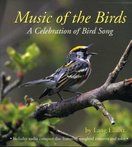 Music of the Birds