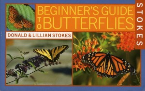 Stokes-Beg Guide to Butterflies