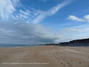 Beach at Alnmouth