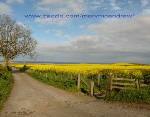 Road to beach at Alnmouth