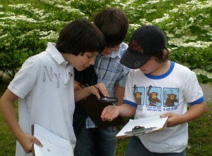 The boys study a spider to draw