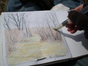 Using the flat tipped waterbrush to wet the watercolor crayons