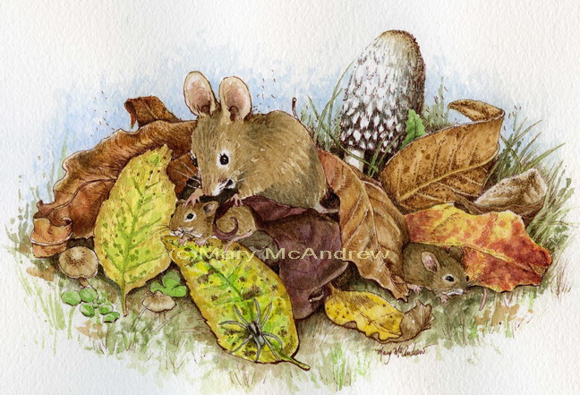 Mouse family in the Leaves