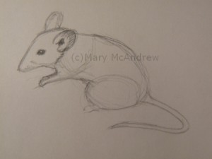 Mouse Sketch 1
