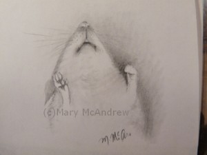 Sketch of Mouse 3, view from below.