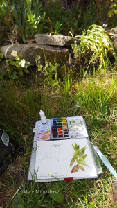 My sketchbook and paint kit, where I sat in front of the garden.