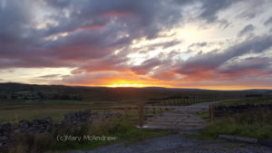 The sunset as we drove home.