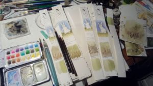 Test strips and my tiny field palette.