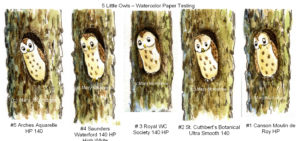 5 Little Owls 