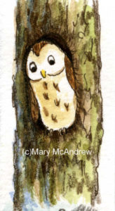 (c)wc paper test strips- owl 3 re