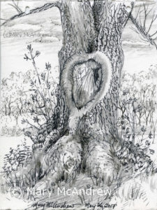 My drawing of the tree done in ink and wax crayon. 
