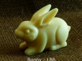 Bunny - LBB 1