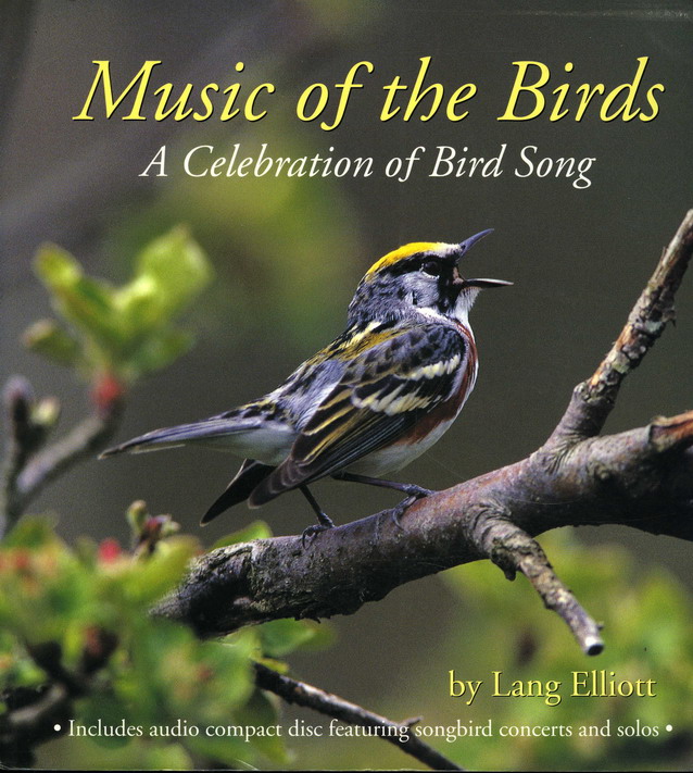 Ost bird. Последняя песнь птицы. Птица музыка. Песня Bird. For the Birds: the Birdsong Project.